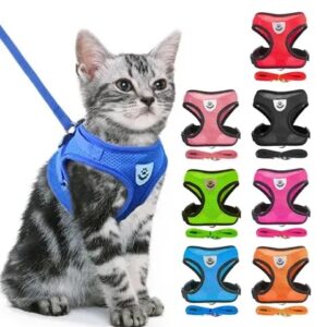 Reflective Dog/Cat Harness & Leash Set