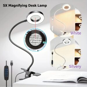 LED Clip-On Magnifying Desk Lamp